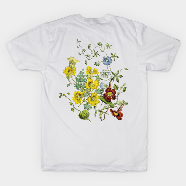 Wildflowers Botanical Illustration by Biophilia